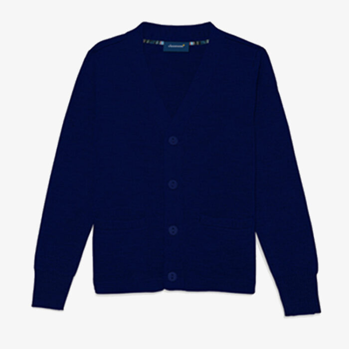 Cardigan Sweater
